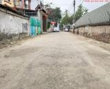 Bán Đất Vàng Tổ 10, Quang Minh, Mê Linh - Đầu Tư Sinh Lời, An Cư Lý Tưởng!
