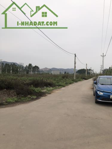 Chính Chủ Bán Lô Đất Dịch Vụ,Nội Hoàng, Yên Dũng, Bắc Giang