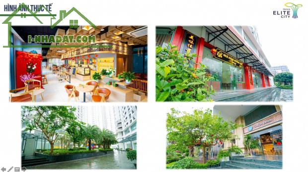 Tổng hợp quỹ căn đẹp nhất tòa b trực tiếp cđt tecco elite city - 1