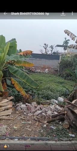 ĐẤT ĐẸP - GIÁ TỐT - Vị Trí Đắc Địa Tại Thôn 5, Xã Bắc Sơn, Huyện An Dương, Hải Phòng - 4