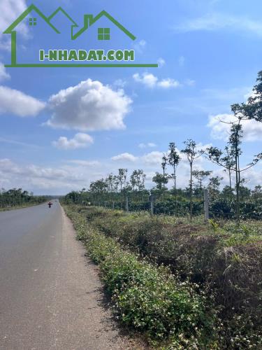 Eaktur - Cưkuin đất lk 1 ha diện tích bám mặt đường tránh đông dài miên man