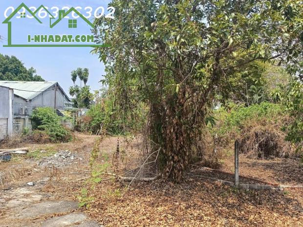 Đất Ở Mặt Tiền Tân Hiệp 8 Hóc Môn 1200m2 Ngang Khủng 20m - 2
