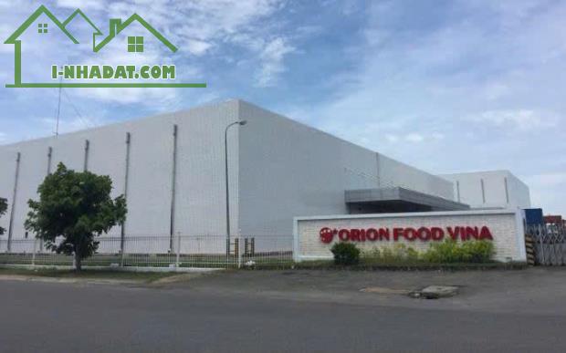 CẦN TIỀN BÁN LỖ 1250M2 ĐẤT, SỔ RIÊNG NGAY KCN ĐANG H. ĐỘNG. GIÁ 260TR - 3