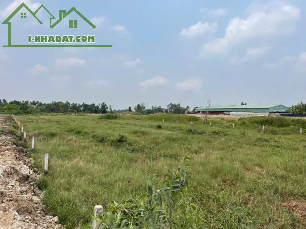 3129m2 đất vườn thích hợp xây kho bãi ở xã Lương Hòa, Bến Lức giá 8,5 tỷ - 3