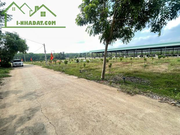 đất nền đô thị đầu tư thấp lợi nhuận cao dễ thanh khoản - 3