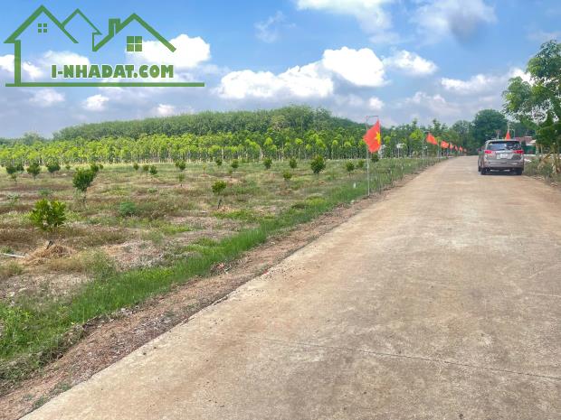 đất nền đô thị đầu tư thấp lợi nhuận cao dễ thanh khoản - 2