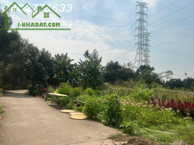 2800m2 QH đất ở toàn bộ, 1800m2 đất thổ cư! 2 MẶT TIỀN AN PHƯỚC, LONG THÀNH 14.5 TỶ - 2