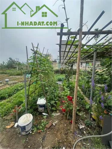 Chính Chủ Bán Đất Gần Khu Quảng Trường Chính Trị An Dương, Tổ 7, Thị trấn An Dương, TP