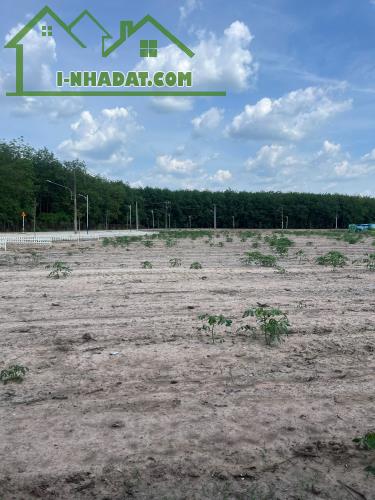 5x56 sẵn 100m2 thổ cư Trừ Văn Thố, Bàu Bàng giá rẻ - 1
