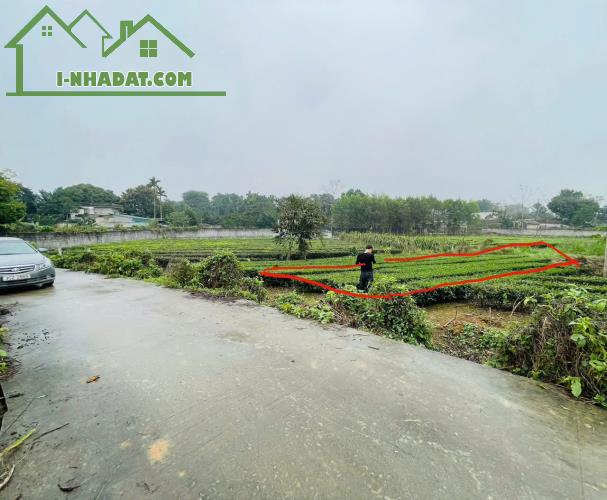 CHÍNH CHỦ CẦN BÁN GẤP LÔ ĐẤT TẠI PHÚ THÀNH CHỈ HƠN 300TR