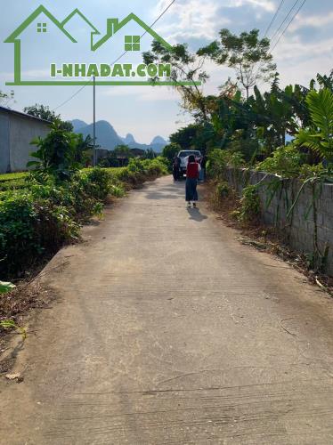 CHÍNH CHỦ CẦN BÁN GẤP LÔ ĐẤT TẠI PHÚ THÀNH CHỈ HƠN 300TR - 4