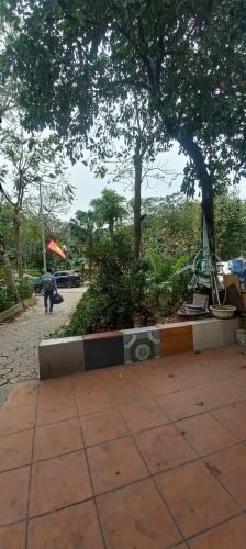 BÁN LÔ ĐẤT VÀNG TRUNG TÂM QUẬN ĐỐNG ĐA – CƠ HỘI ĐẦU TƯ SIÊU HIẾM - VIEW VƯỜN HOA TRẦN QUAN - 2