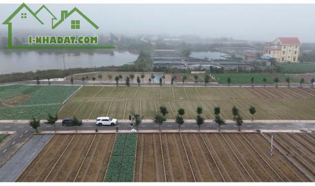 Siêu phẩm cạnh bãi tắm Quất Lâm 100m2 giá rẻ nhất thị trường - 4