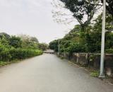 Hiếm - Bán Đất - Gần hồ diều hoà - Ô tô tải tránh - ô tô đỗ cửa - Ngõ thông