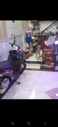 🍄🍄🍄 QUÁ RẺ_CHỈ 1 TỎI NHỈNH _ CÓ NHÀ 4 TẦNG _Q,BÌNHTÂN _ BÌNH THÀNH_(3,6 M × 7,6 M). zal - 1
