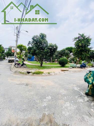 CĂN GỐC ĐƯỜNG NỘI BỘ CÔNG VIÊN BÔNG SAO QUẬN 8 NHĨNH 9