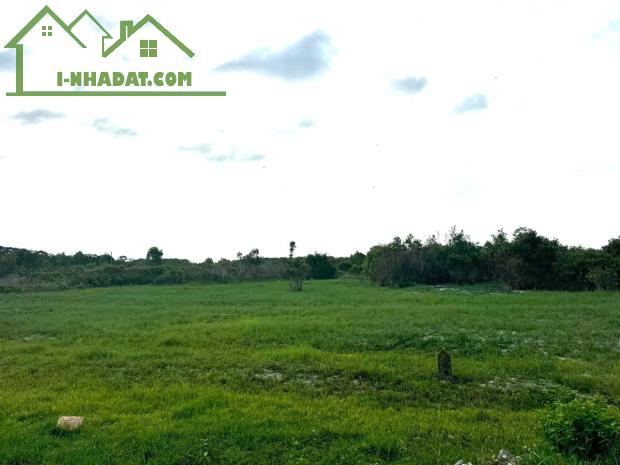 🔥1.8 TỶ GIẢM CÒN 1 TỶ – LÔ ĐẤT 1000,7M² GẦN BIỂN, MẶT TIỀN HỒ TÙNG MẬU, LAGI - 1