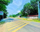 Bán đất thổ cư chính chủ Tuy Phong Bình Thuận