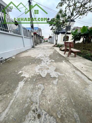 Bán đất Thanh Sơn - Kiến Thụy - Hải Phòng - 1