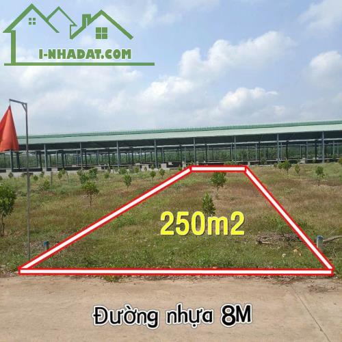 cơ hội vàng sở hữu đất Sài Gòn chỉ vài trăm triệu - 1