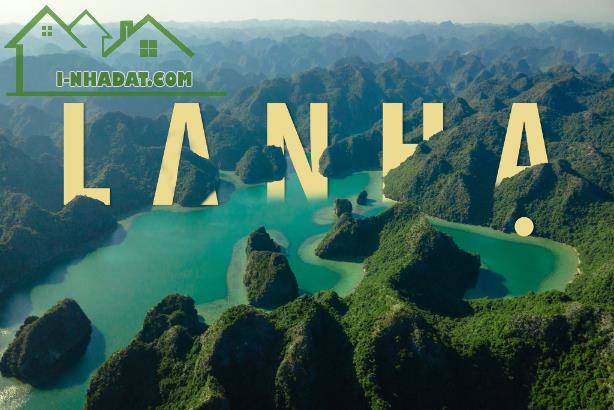 Bán ĐẤT THỔ CƯ FULL SỔ ĐỎ Đường Cái Bèo, Trung tâm Thị trấn Cát Bà, vị trí đắc địa 300m2 - 4