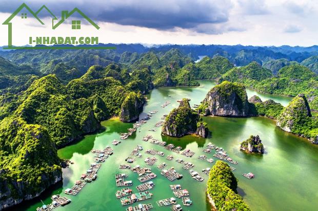 Bán ĐẤT THỔ CƯ FULL SỔ ĐỎ Đường Cái Bèo, Trung tâm Thị trấn Cát Bà, vị trí đắc địa 300m2