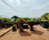 BÁN NHÀ 4 TẦNG, 65M2, CHU VĂN AN, P.12, BÌNH THẠNH, GIÁ 6.1 TỶ