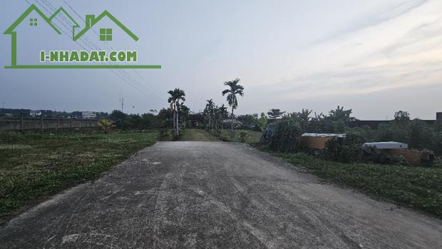 Cần Bán Gấp Đất Mặt Tiền Nguyễn Thị Ly -XTS Hóc Môn 6362m2 Chỉ 60 Tỷ - 3