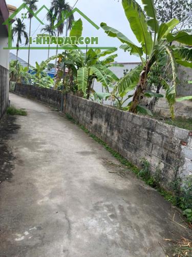 Bán đất thôn 4 xã Kiến Quốc, kiến thụy, hải phòng - 1