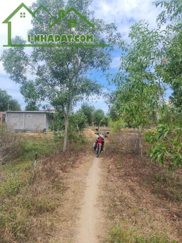 Bán đất thổ cư Tân Phước, thị xã LaGi gần Biển Cam Bình giá rẻ 870 triệu
