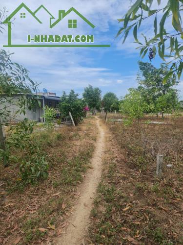 Bán đất thổ cư Tân Phước, thị xã LaGi gần Biển Cam Bình giá rẻ 870 triệu - 3