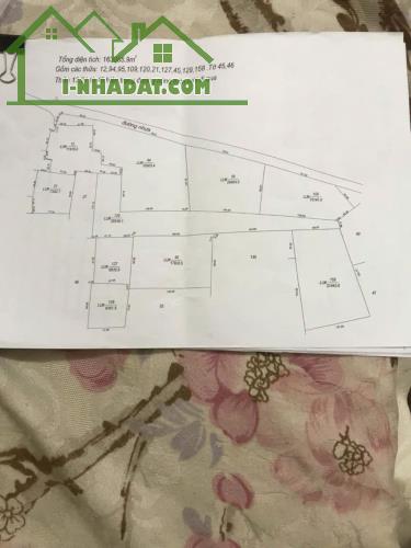 NGỘP BANK GẤP BÁN MẶT TIỀN ĐƯỜNG NHỰA  --NINH ĐIỀN --CHÂU THÀNH --TÂY NINH - 3
