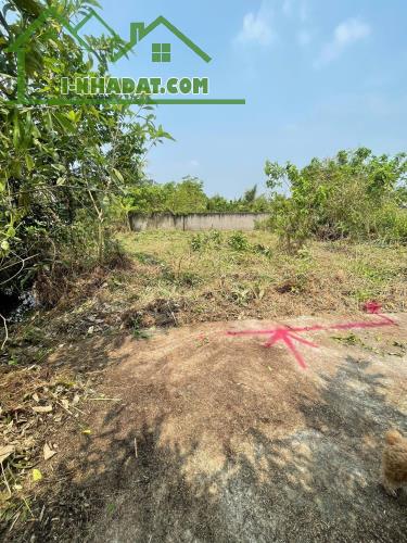 Đất thổ cư  ấp 5, Đạo Thạnh, Mỹ Tho Tiền Giang - 1