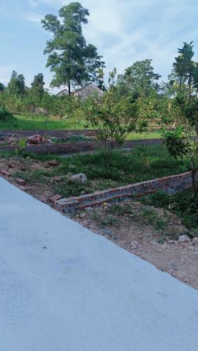 ĐẤT ĐẸP - GIÁ TỐT - Vị Trí Đắc Địa Tại Thôn Quy Mông, Xã Phú Sơn, Huyện Ba Vì, Thành phố - 2