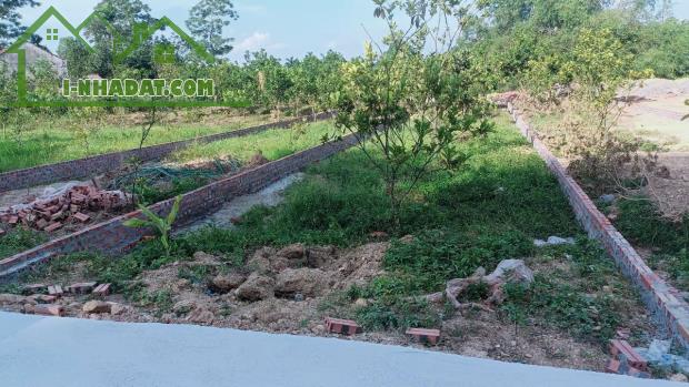 ĐẤT ĐẸP - GIÁ TỐT - Vị Trí Đắc Địa Tại Thôn Quy Mông, Xã Phú Sơn, Huyện Ba Vì, Thành phố - 1