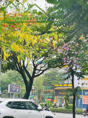 CHO THUÊ NHÀ TỪ TẦNG 1 ĐẾN TẦNG 3 SHOPHOUSE VẠN PHÚC, HÀ ĐÔNG - 2
