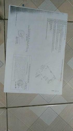 🏡 🔥 ĐẤT ĐẸP – GIÁ RẺ – SỔ ĐỎ CHÍNH CHỦ 🔥 -  Mặt tiền đường Lý Thánh Tông, Thị trấn Phú