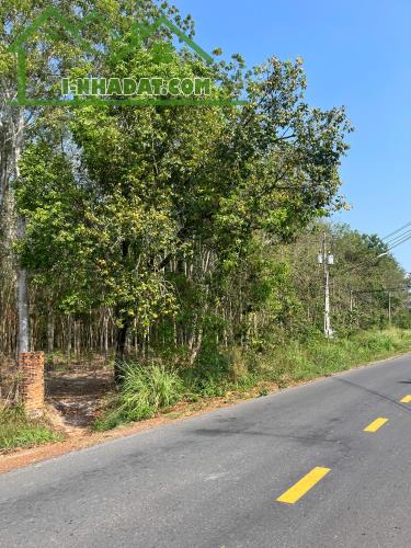 ĐẤT BÀU BÀNG GIÁ RẺ, MẶT TIỀN DT750 TRỪ VĂN THỐ - 2