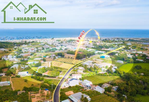 🌟 Bán đất nền trung tâm Bình Thuận – Sổ sẵn, tiềm năng sinh lời cao! 🌟