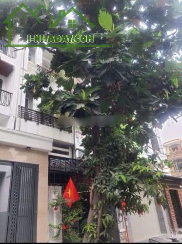 Vị trí : Số 7, Đường Cư xá Phú Lâm D, Phường 10, Quận 6, Tp Hồ Chí Minh - 1