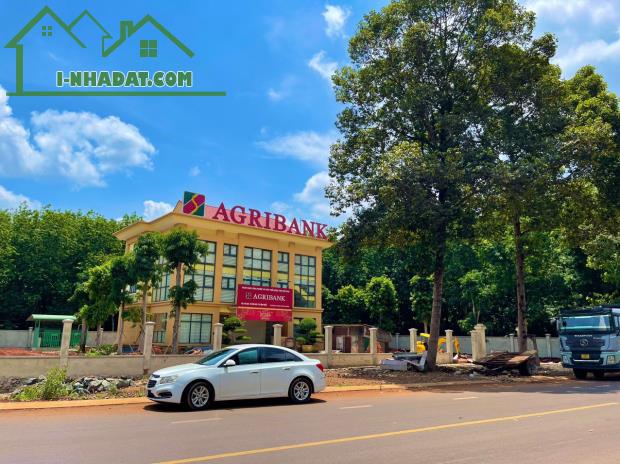 Bán lô gốc MT (1.200m2) full SHR, giá 450 triệu sát KCN, trường chợ, trung tâm sầm uất nhấ - 2
