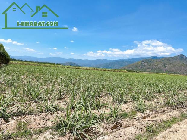 ĐẤT ĐẸP - GIÁ TỐT - Vị Trí Đắc Địa Tại Suối Mây, Quảng Sơn, Ninh Sơn, Ninh Thuận