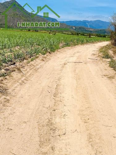 ĐẤT ĐẸP - GIÁ TỐT - Vị Trí Đắc Địa Tại Suối Mây, Quảng Sơn, Ninh Sơn, Ninh Thuận - 1