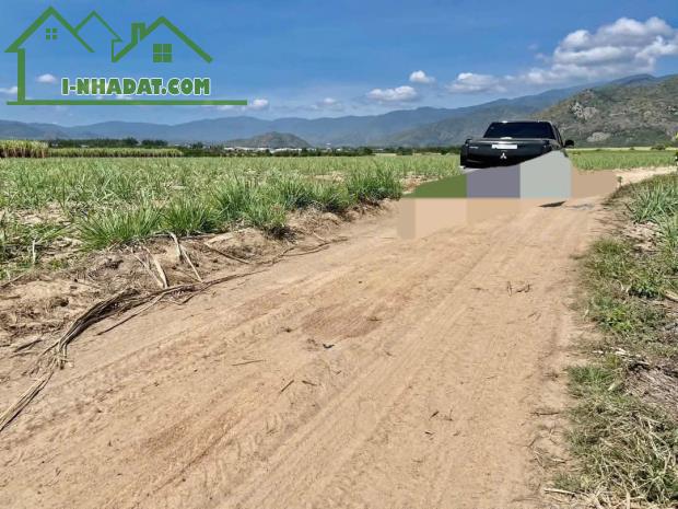 ĐẤT ĐẸP - GIÁ TỐT - Vị Trí Đắc Địa Tại Suối Mây, Quảng Sơn, Ninh Sơn, Ninh Thuận - 2