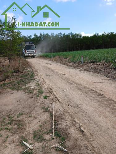 ĐẤT ĐẸP - GIÁ TỐT - Vị Trí Đắc Địa Tại Suối Mây, Quảng Sơn, Ninh Sơn, Ninh Thuận - 3