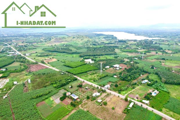 Bán rẻ 113 m2 Đất mặt tiền 12m KCN Đá Bạc tại xã Long Tân, huyện Đất Đỏ, tỉnh BRVT có - 1