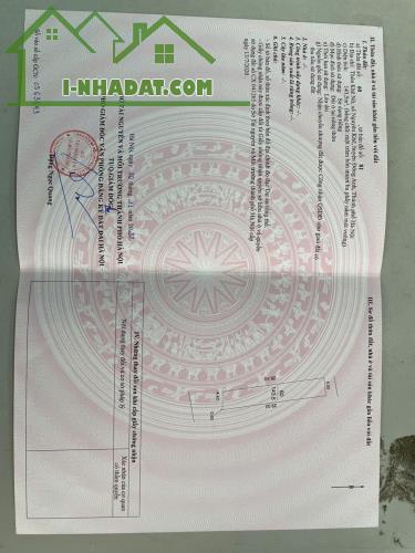 Hàng cực hiếm - siêu hoa hậu Đông Anh 143,5m - 4