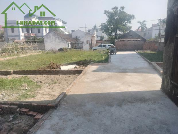 Hàng cực hiếm - siêu hoa hậu Đông Anh 143,5m - 3
