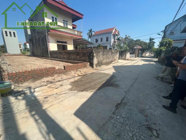Hàng cực hiếm - siêu hoa hậu Đông Anh 143,5m - 1
