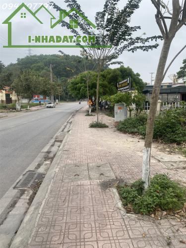 Bán Đất Vân Đồn 80m² – Full Thổ Cư – Mặt Đường 334 – Gần KĐT Phương Đông – Giá 2.4 Tỷ - 1